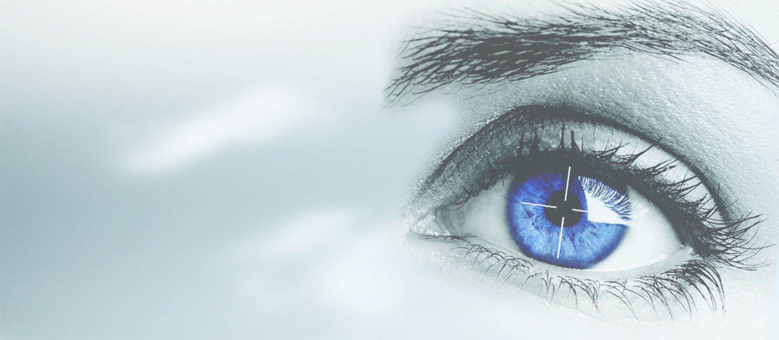 EyeTruth Lie Detect specialises in lie detection with eye detection technology. We provide lie detector tests in Adelaide, South Australia and further that are more accurate than a polygraph test